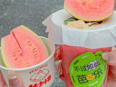 -伏小桃(明瓦廊店)