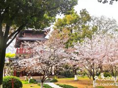 -堤角公园