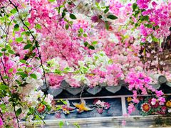 -深圳国际园林花卉博览园