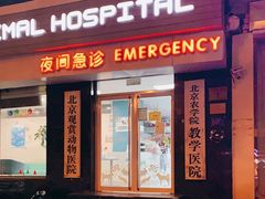 -北京观赏动物医院·24小时大型综合·猫专科·异宠专科