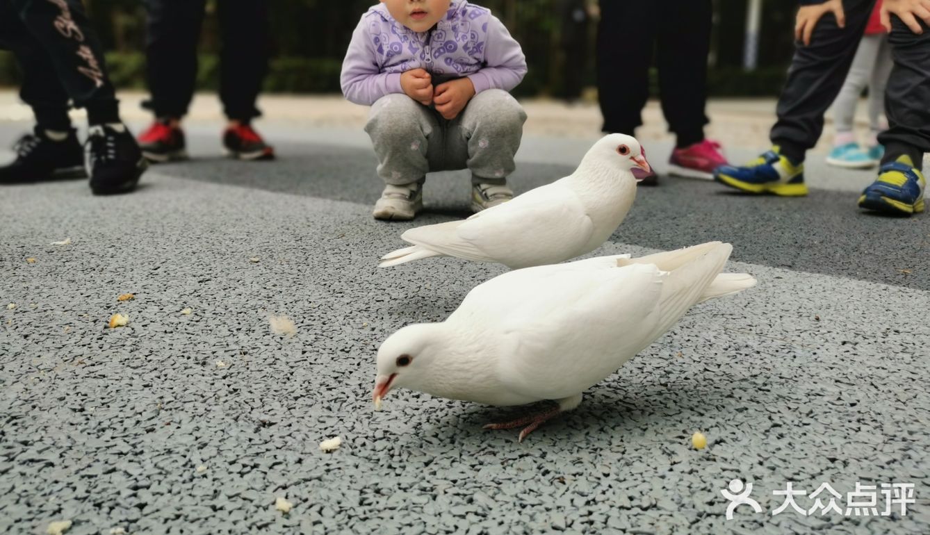 森林公园二刷
