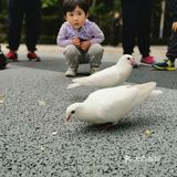 森林公园二刷