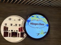 -哈根达斯(国瑞店)