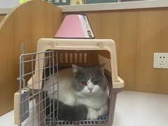 -联合动物医院(光谷诊疗中心)