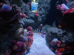 -成都浩海立方海洋公园