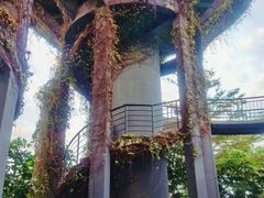 -芒洲湿地公园