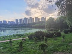 -丁香湖公园