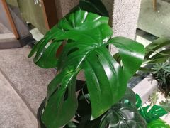 -蘸小院铁锅炖·蘸酱菜·东北菜(怀远门店)