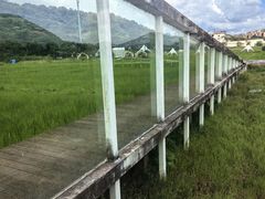 -艾米稻香小镇