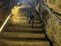 -贵阳猴耳天坑·极限酷玩公园
