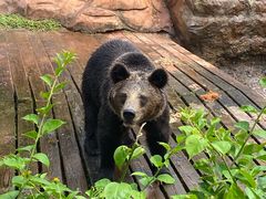 -海南热带野生动植物园
