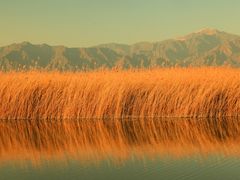 -野鸭湖国家湿地公园