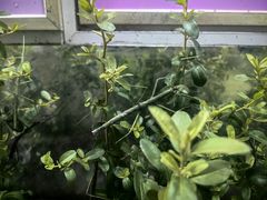 -上海昆虫博物馆