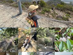 -青芝山风景名胜区