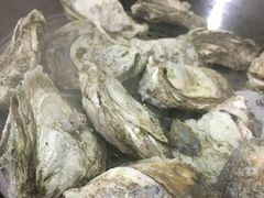 桑拿蚝-蚝专家(北滘店)