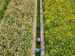 -中国天府农业博览园