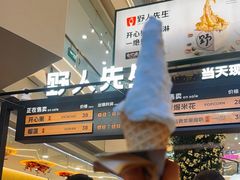 -野人先生Gelato(上海长宁龙之梦店)