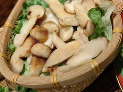 -滇野云南野生菌餐厅(陕西南路店)