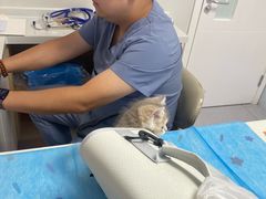 -达爱动物医院·犬猫分区·CT·复杂眼科(远洋山水分院)