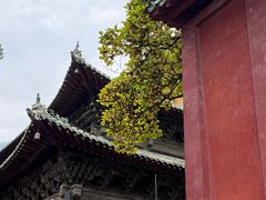 -报恩寺(平武县)