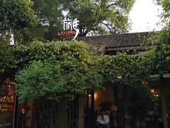 -旅马餐厅(茅家埠店)