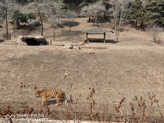 -沈阳森林动物园
