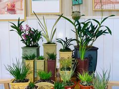 -Rabbit Cafe私房西餐甜点咖啡(栖霞路店)