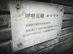-泡桐树街