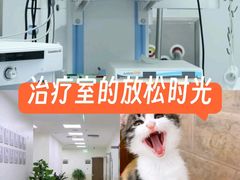 -美联众合爱康动物医院•复杂内科•肿瘤科•牙科•腔镜诊疗中心