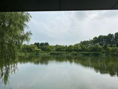 -东平国家森林公园