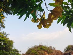 -广州莲花山旅游区