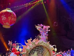 -广州长隆国际大马戏