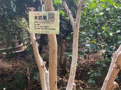 -呀路古热带植物园