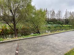 -前小桔亲子创意农场·草莓采摘·露营烧烤