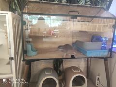 -平行世界·猫咖(首经贸店)