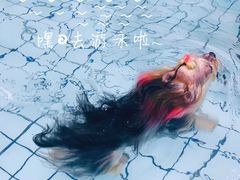 -柚子宠物(伊珊娜调理店)