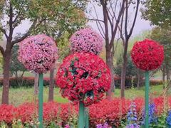 -上海浦江郊野公园·1号停车场