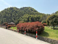 -会稽山峡洞漂流-上青古道