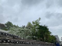 -遵义会议纪念馆