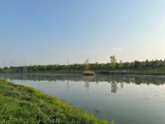 -洨河生态公园