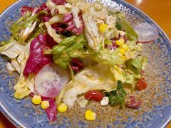 田园时蔬沙拉-布拉格餐厅· 中欧捷克菜(全国首店)