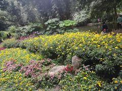 -成都市活水公园