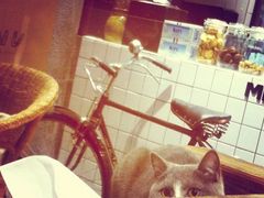 -MIKAKU(万达广场上海宝山店)