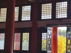 -鸭得堡老鸭汤·鸭血粉丝(南京博物院店)