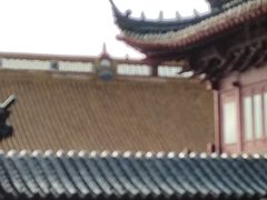 -邵顺兴锅盖面(金山宝地店)