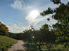 -白水寺森林公园