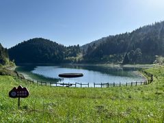 -武陵山森林公园