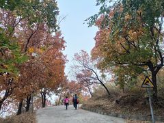 -国家植物园南园