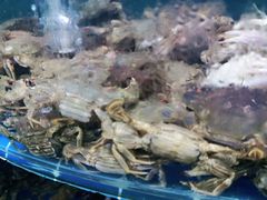 -同道蒸汽海鲜烧烤自助(刘庄夜市店)