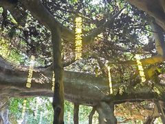 -横店影视城梦幻谷园区